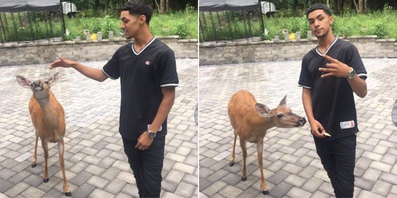 FunnyPicsDepot's tweet photo. There are two types of people in this world. We need to try to be more like the person on the left. https://t.co/m8b5swZZyR