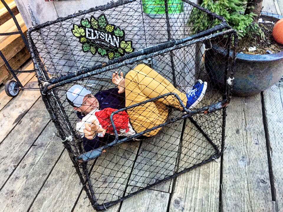 TracysCrab's tweet photo. Look at the size of this crab! #scenesfromtheshack #wheretoeatinjuneau https://t.co/3vCJpUsbQd