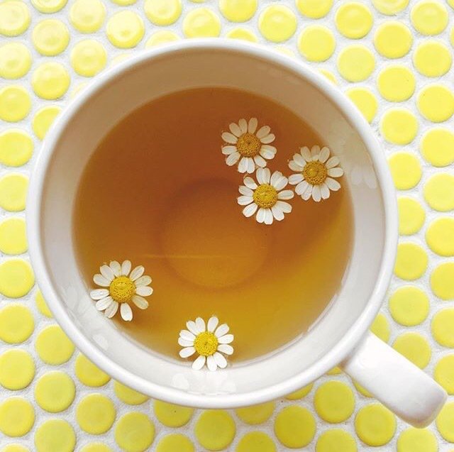 Serving up some sweet #vibes c/o <a href="/elsielarson/">Elsie Larson</a> ! Sunshine, tea, and flowers: a match for any Monday ✨ 🍃