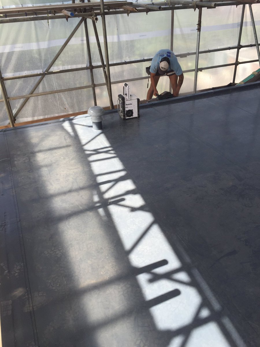 Daniel Russell tweet media