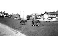 forestwaterside's tweet photo. I remember old Totton https://t.co/sCqG6UdBlk #newforest https://t.co/aRbyQJ408a