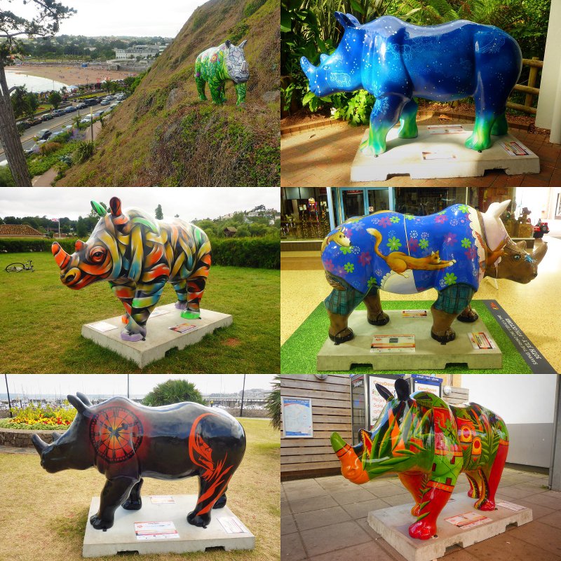 Monk_Po's tweet photo. Mopping up a few more of Torbay's #Rhino on Sundays #cycle on the @GreatBigRhinos trail #EndangerThePoacher #every8 https://t.co/9c9TnxlXK9