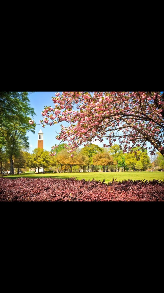 macyc_22's tweet photo. very excited to announce that I have verbally committed to the University of Alabama to play soccer ❤️⚽️ #ROLLTIDE https://t.co/hblfi5wcxV