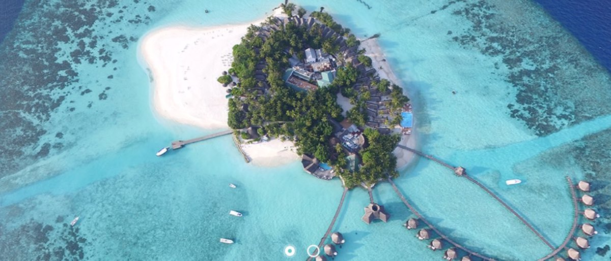 _beagy's tweet image. Ok so my mum is staying on this island in the Maldives while I'm stuck at home looking after her cats 😭😭😭