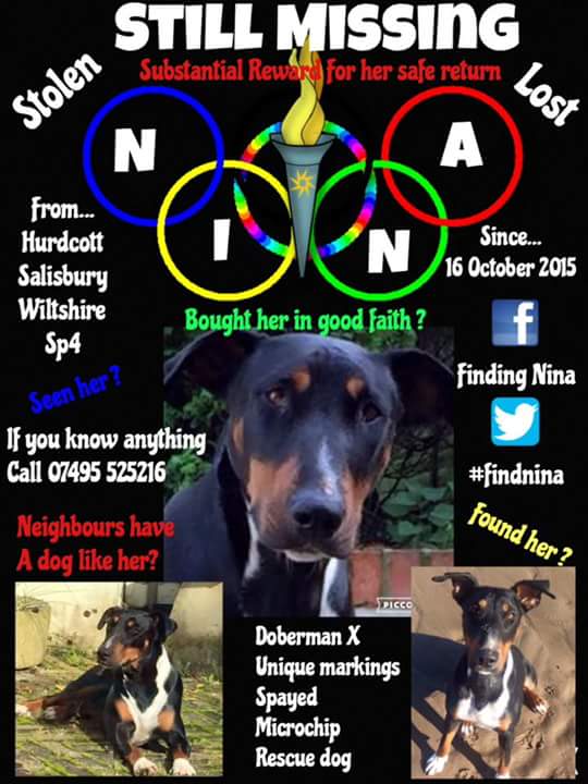 Rachel_C tweet media