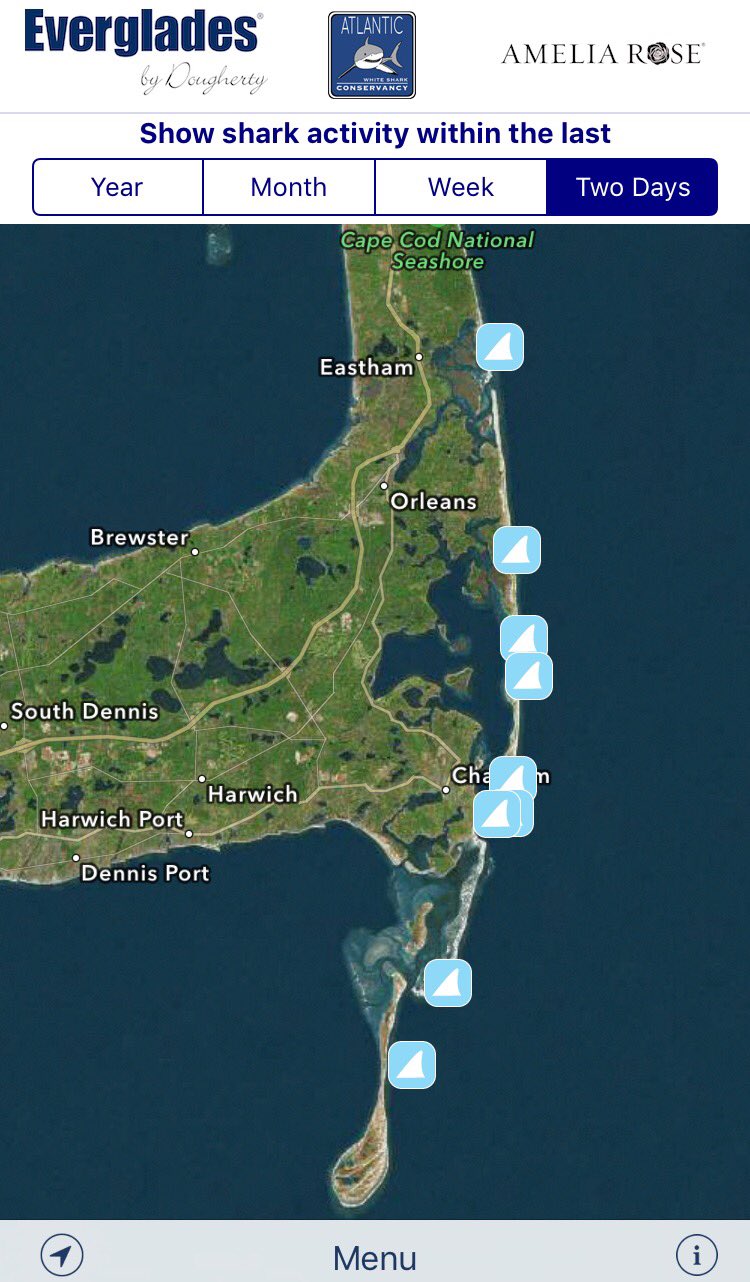 Atlantic White Shark Conservancy on Twitter: "Busy day on @sharktivity