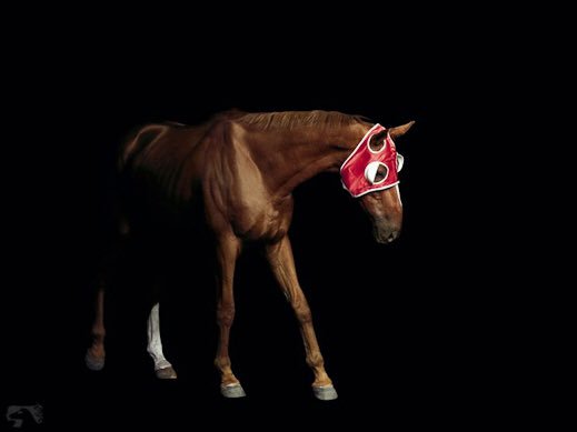 OSG (@osborne_studio) on Twitter photo Powerful and moving photography by Elena Dorfman #dorfman #contemporary #equine Powerful and moving photography by Elena Dorfman #dorfman #contemporary #equine