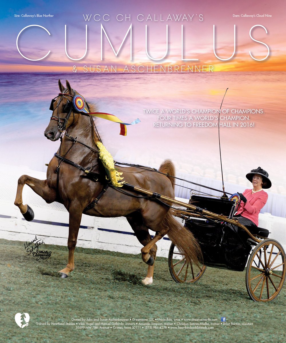 National Horseman On Twitter Wcc Ch Callaway S Cumulus Susan Aschenbrenner Nationalhorseman Louisville Freedomhall Saddlebred