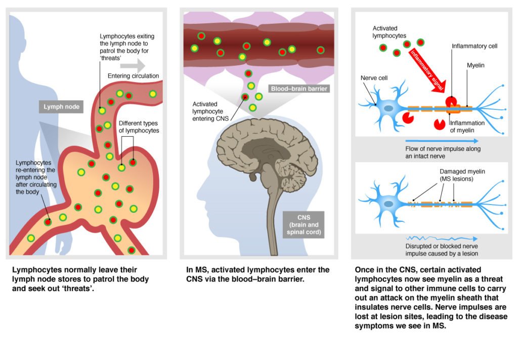 Samuel F. Hunter tweet media