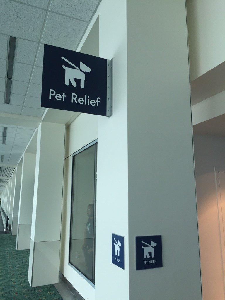 theoregonjay's tweet photo. @adamcarolla it is definitely "On". Just saw the Pet Relief Area @PDX. Complete w AstroTurf &amp; a red fire hydrant! https://t.co/DfoixbeFuH