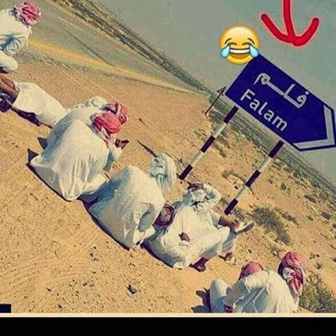 اظحك ع السعوديه والله مو بشر
#حمير-لافته مكتوب عليها فلم -وهمه كعدو في الصحراء يشاهدون ع كتابه
#ههههههاي-----