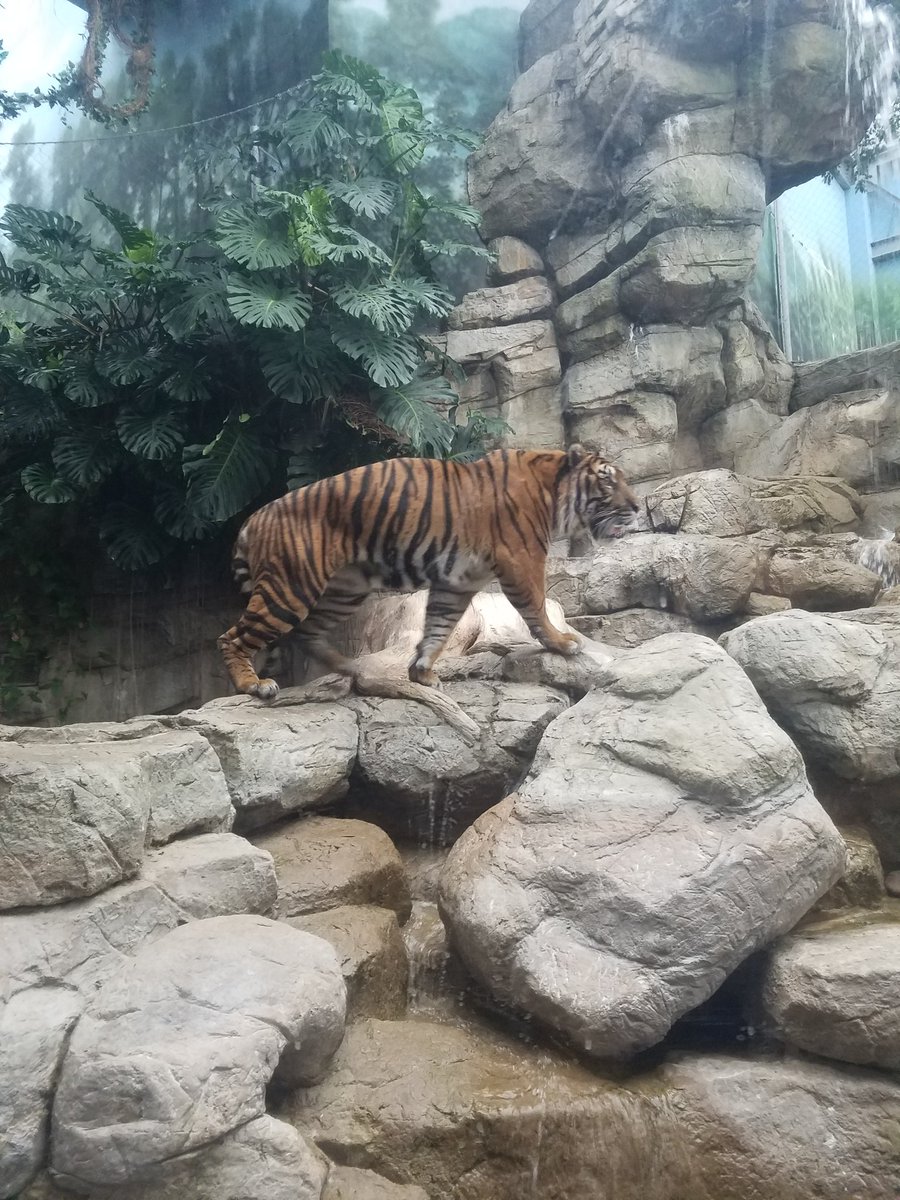 noah_peaslee's tweet photo. MORE Denver Aquarium https://t.co/aJuswx6vAC