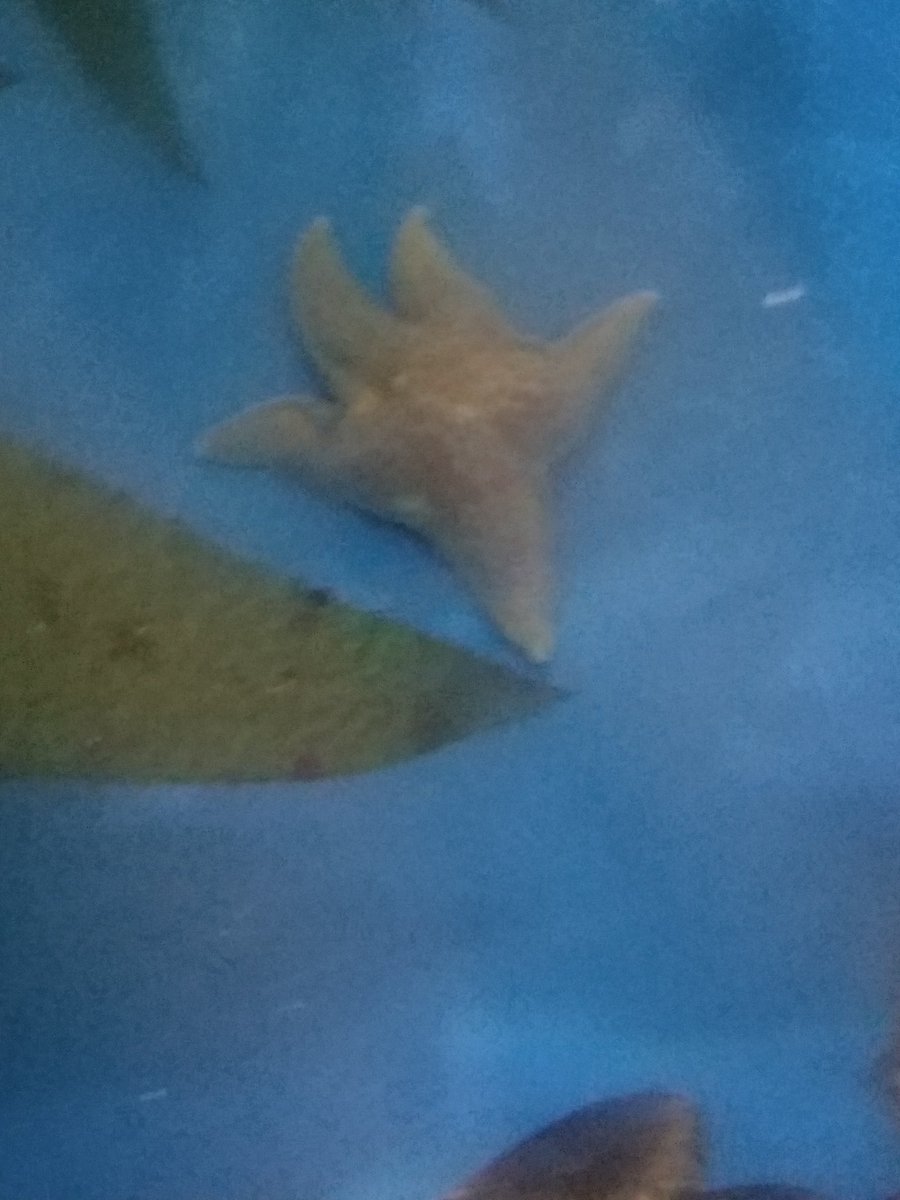 noah_peaslee's tweet photo. MORE Denver Aquarium https://t.co/aJuswx6vAC