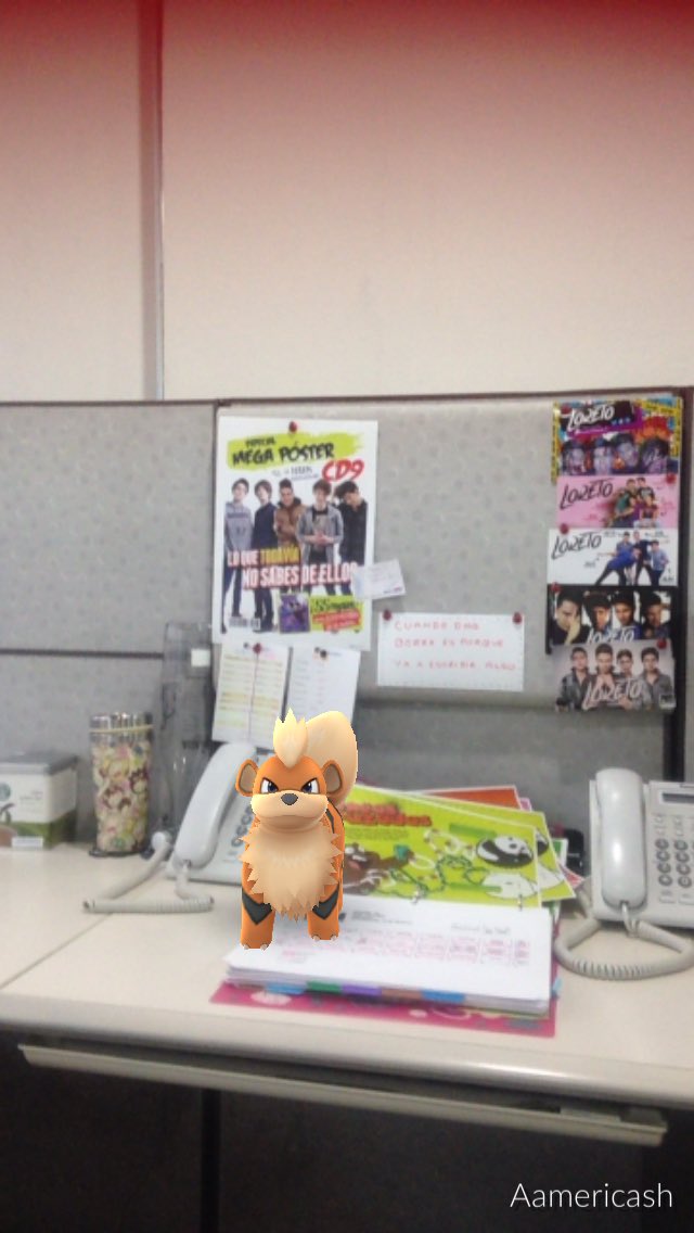 Apareció un Growlithe en mi oficina!!! 😱😱😱