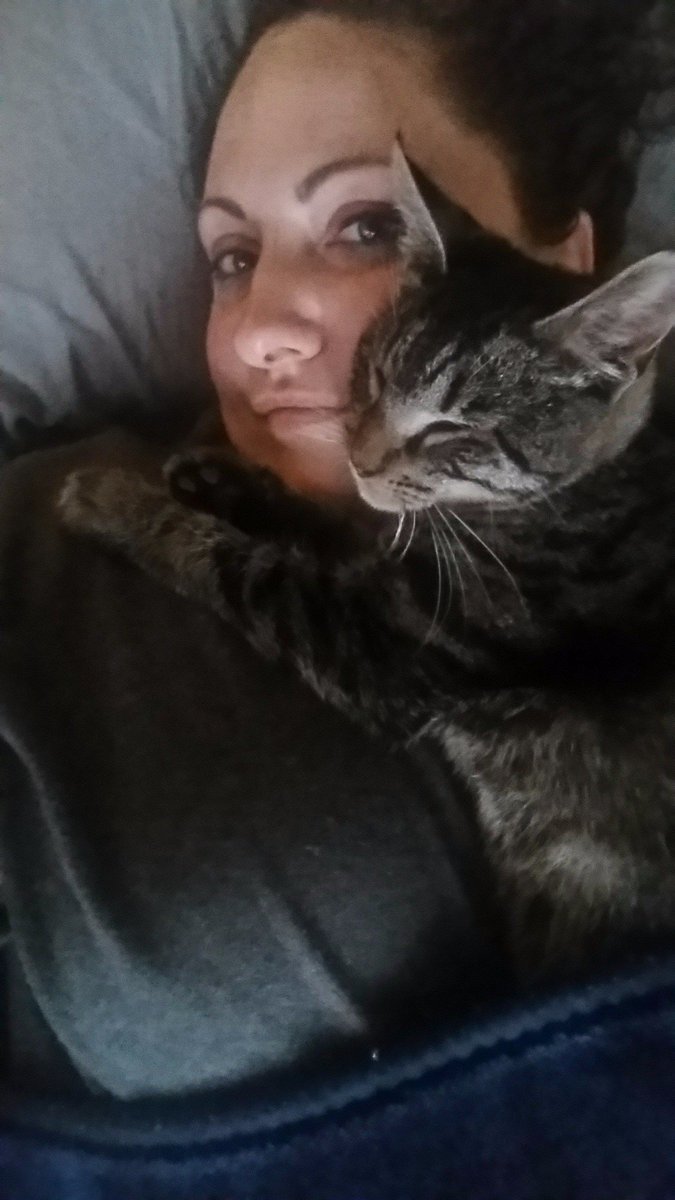 Lumi_Pie's tweet photo. #AugustBooth #InternationalCatDay #OneYearsOld #BestKittyEver https://t.co/W0XqDh2kRO