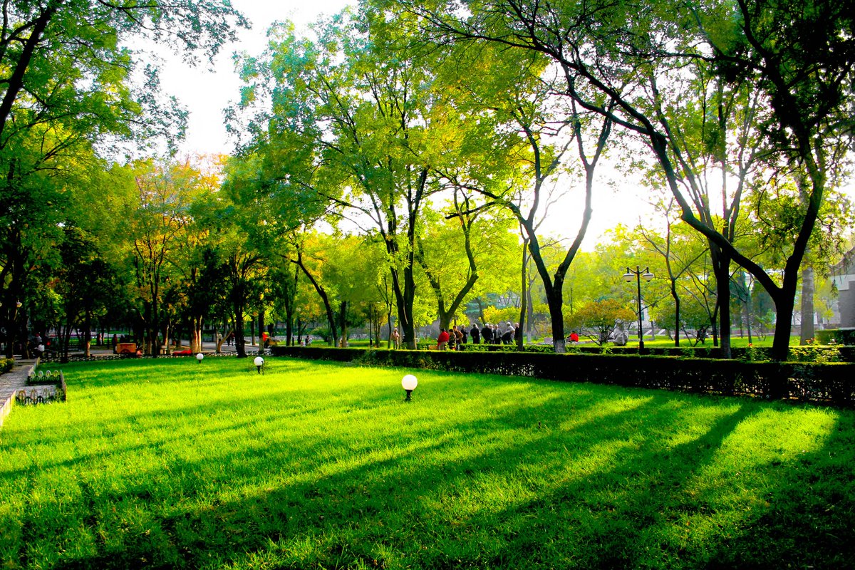 WeSeedAmerica's tweet photo. Grass helps with preventing erosion. #WSAtips https://t.co/JOU6Lg4lvi https://t.co/Slld4QQQof