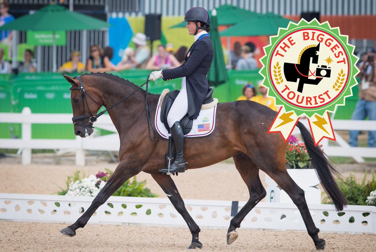 OlympicBilly_EN's tweet photo. Oh, by the way, here are the winners for the last #BillyBadges competition for #EquestrianEventing! Do you love it? https://t.co/AqGGYTn4B8