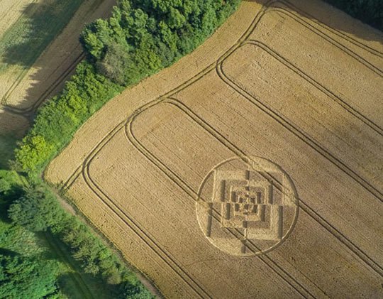 SSDavidT's tweet photo. Three Mysterious and Intricate August 2016 Crop Formations

#MajicEyes #UFO #Rio2016 #USA 
https://t.co/pFD6vbAKkB https://t.co/AKy4fgcGjx