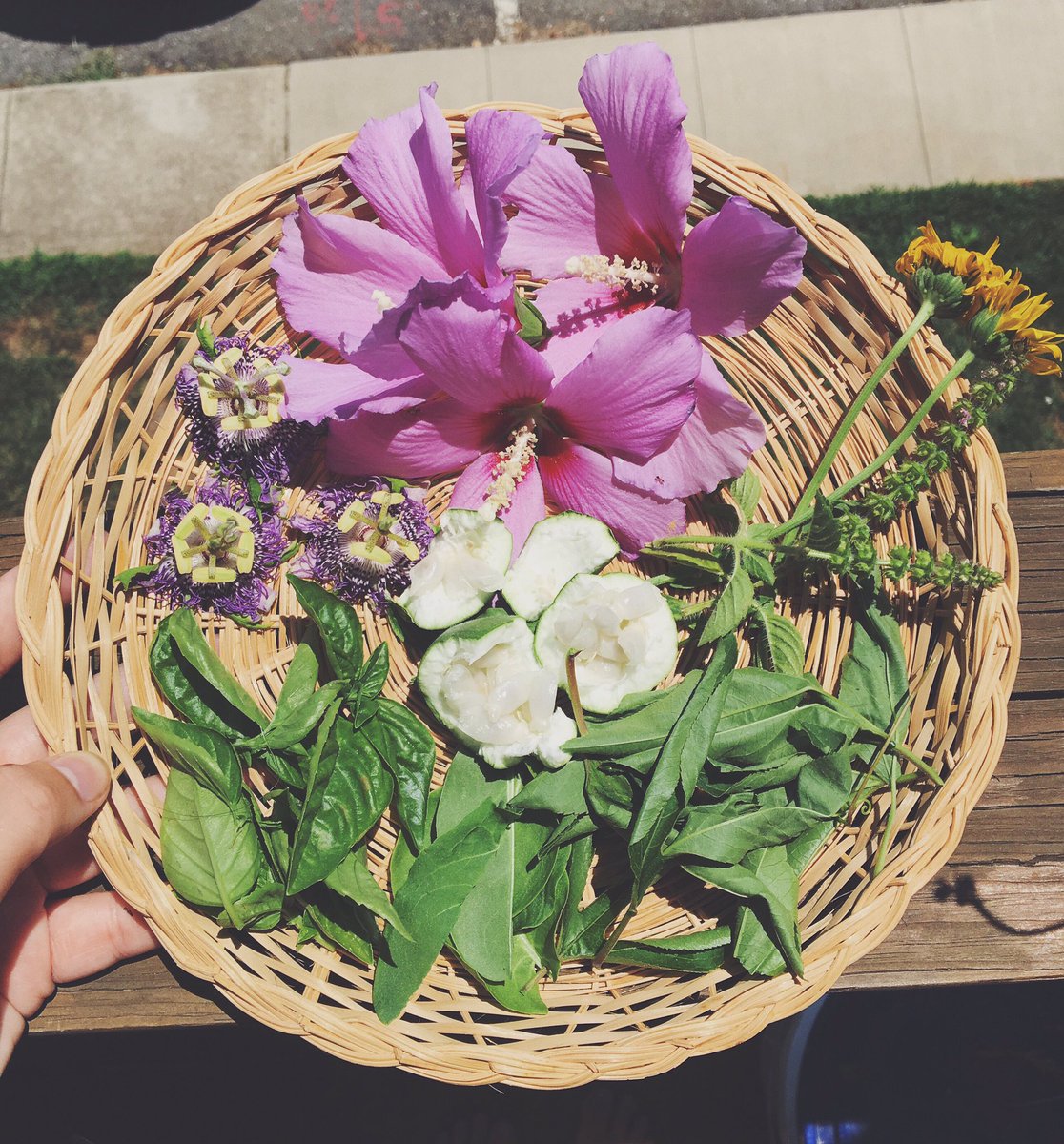 willowood_co's tweet photo. Fresh herbs for the mind / body / soul 🌸🍃 #crueltyfree #veganskincare #veganlife https://t.co/Vsj9FZQ9oI