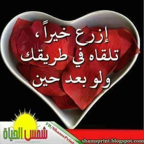 الى متابعينا الاصدقاء