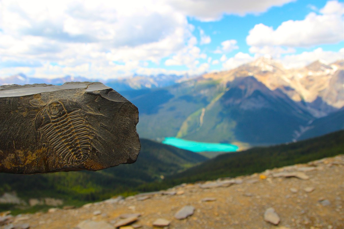 getouttoparks's tweet photo. New story on our website by @tcdixon3: Yoho's Stone Bugs! https://t.co/rRdcDISDFt #YohoNationalPark #ParksCanada https://t.co/DlHtIeiHO5