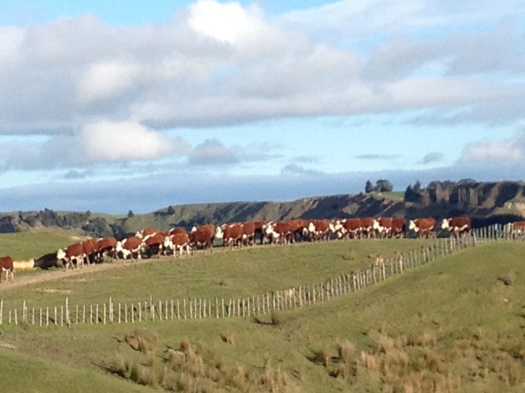 MorrisonFarming's tweet photo. A cold start but a nice end to today at #MangaRa Station. https://t.co/6xDMq1djMv