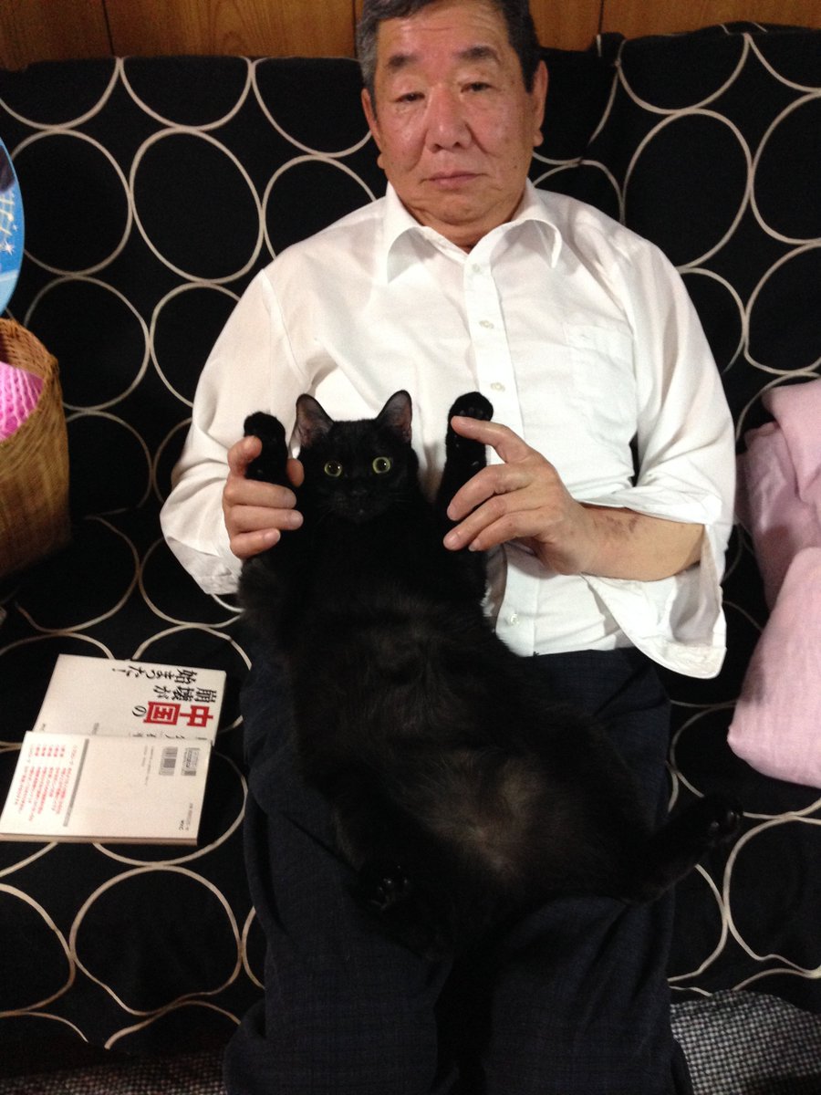 あ、勿論保護団体の岐阜ねこを救う会から譲渡して頂きました。そやつらもムクムクとでかくなり、丈夫になりましたｗｗｗｗ
