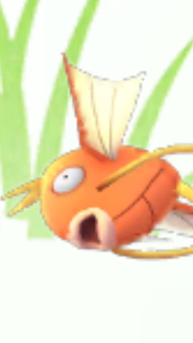 How I feel about tracking still not being added back to the game

#PokemonGO