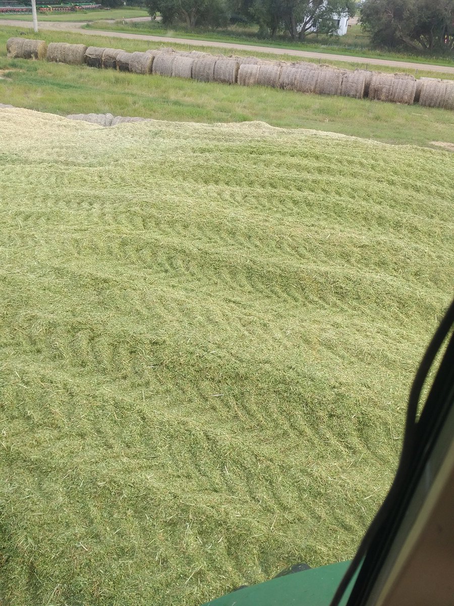 BradHawken's tweet photo. Buy me a beer, I will let u pack silage. #interestingwork #notakers #beeroclock https://t.co/DK7w5hISum