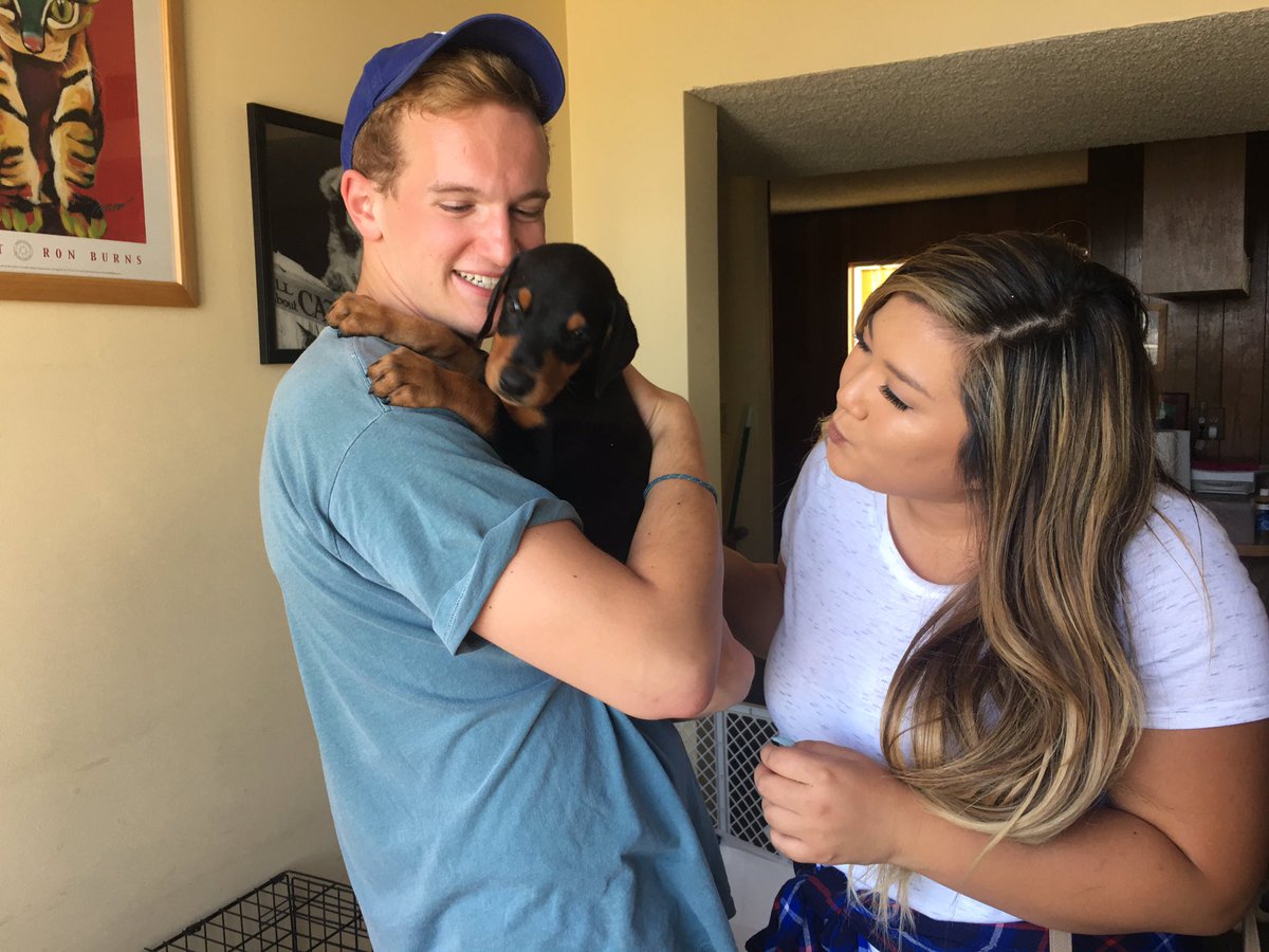 AaronIdelson's tweet photo. ALSO!!! if anyone is interesting in adopting this literal ANGEL he's available at the @GlendaleHumane !! https://t.co/8sI1VacHpf