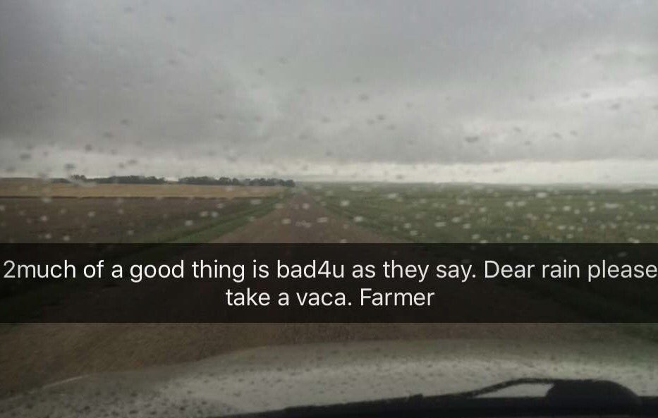 SweetCurling's tweet photo. 2Much of a #goodthing is #bad 4u. Dear Rain, please take a vaca.
#Farmer #crop16
#harvest16 #wcsask #weather #rainπ https://t.co/y5qm8AZjwi