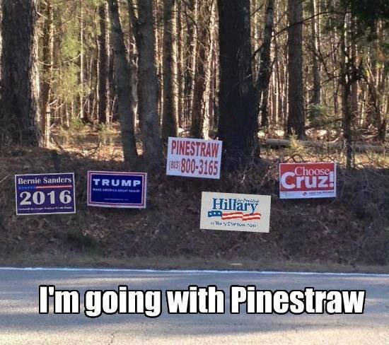 GravisMushnick's tweet photo. Polls show that Hillary &amp; Trump are both drawing votes from #Pinestraw2016 &amp; another entry means a further drain https://t.co/JN1v8uby63