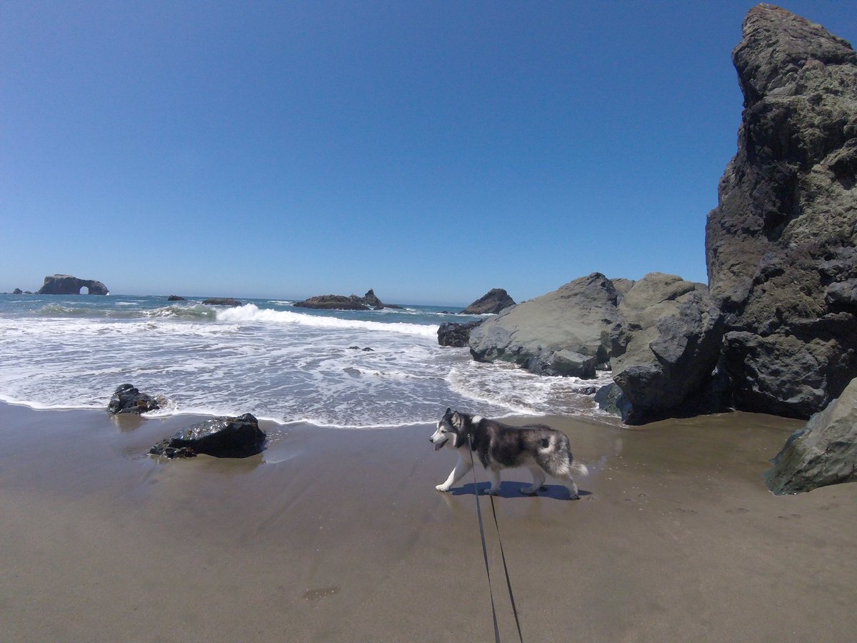 DanteRichitelli's tweet photo. He enjoys exploring the west coast with me https://t.co/1Vhori02jZ