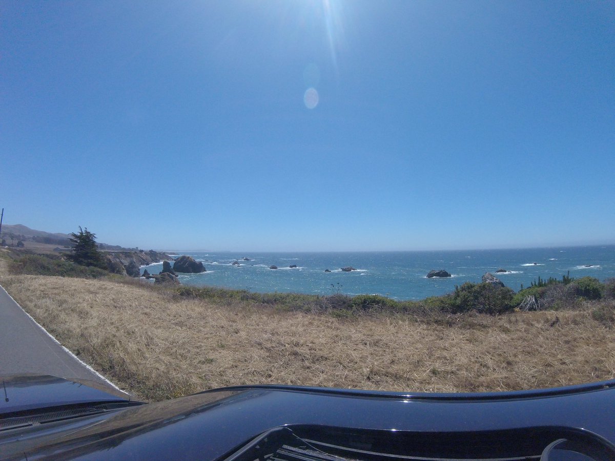 DanteRichitelli's tweet photo. He enjoys exploring the west coast with me https://t.co/1Vhori02jZ