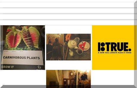 foodplaces tweet media