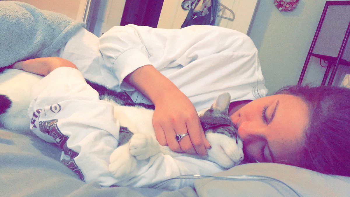 cayysal's tweet photo. happy #InternationalCatDay to my sweet little bugs https://t.co/FDKwo8K63K