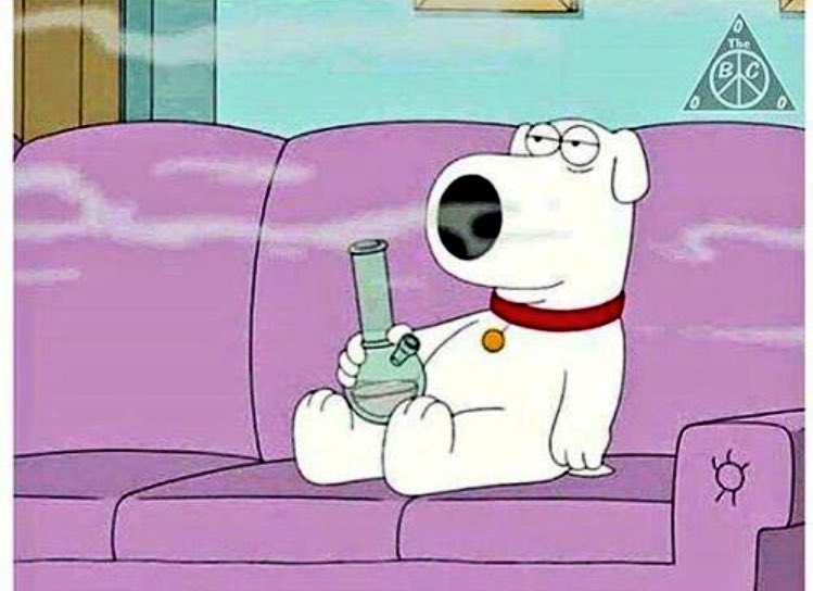 stillblazingtho's tweet photo. Sometimes I tell people that I'm busy just so I can stay home and smoke. https://t.co/VZTp24Hem4