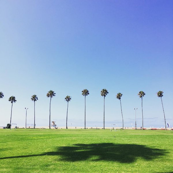 FlyNFishOysters's tweet photo. Why would anyone ever want to leave? #newportbeach #flynfish #newps #summervibes pc: @allicat3208 https://t.co/vywR4nZChF