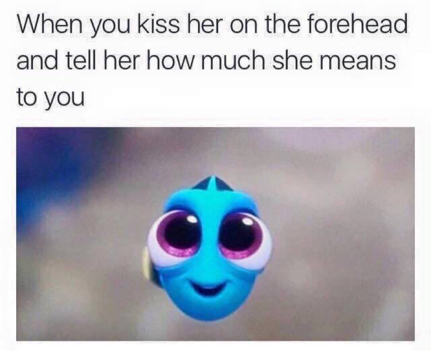 WholesomeMeme's tweet image. 