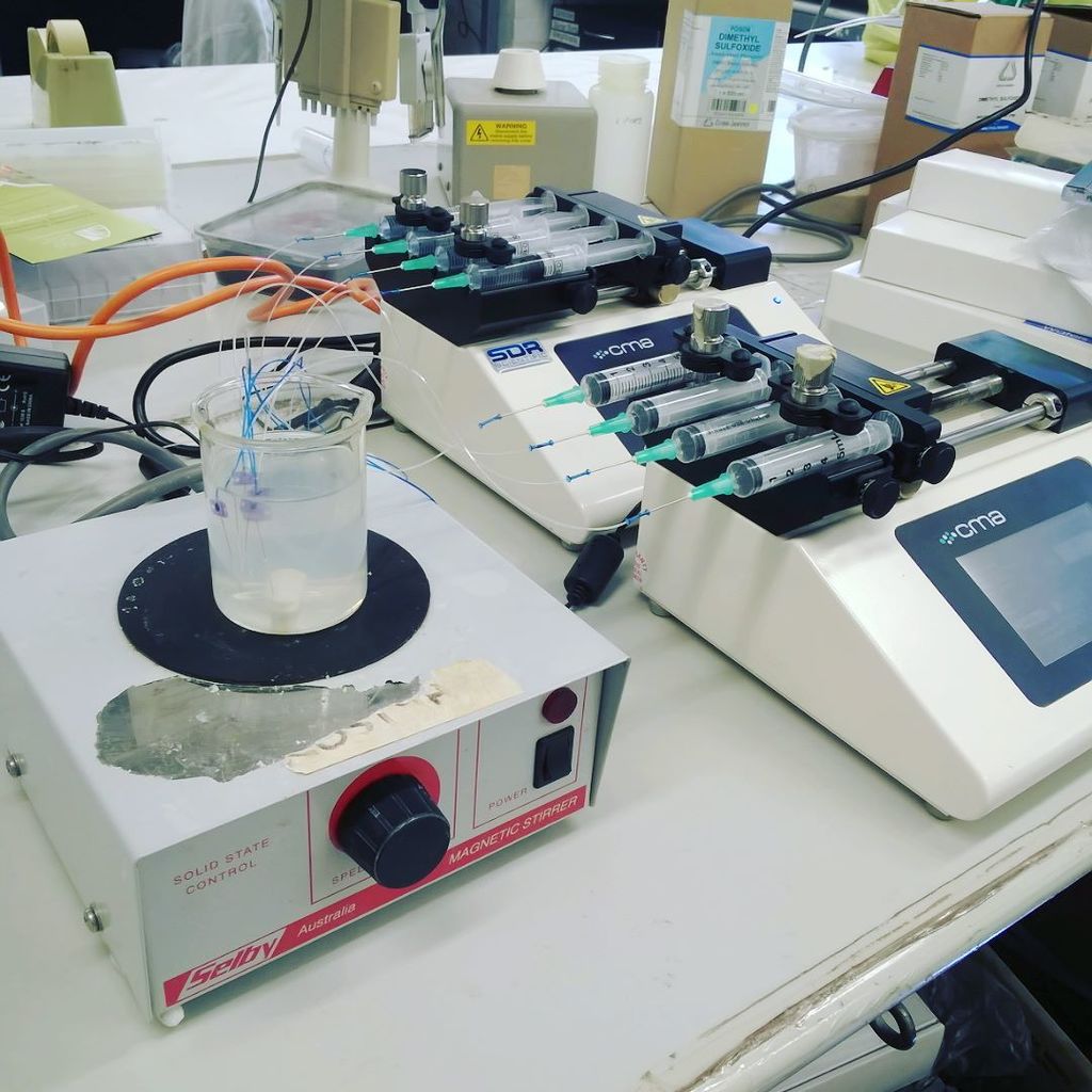 musoscientific's tweet photo. Playing with some push-pull #microdialysis - trying to sample protein. First: Solution, ne… https://t.co/Fualgdf30j https://t.co/FAYYKGFgUs