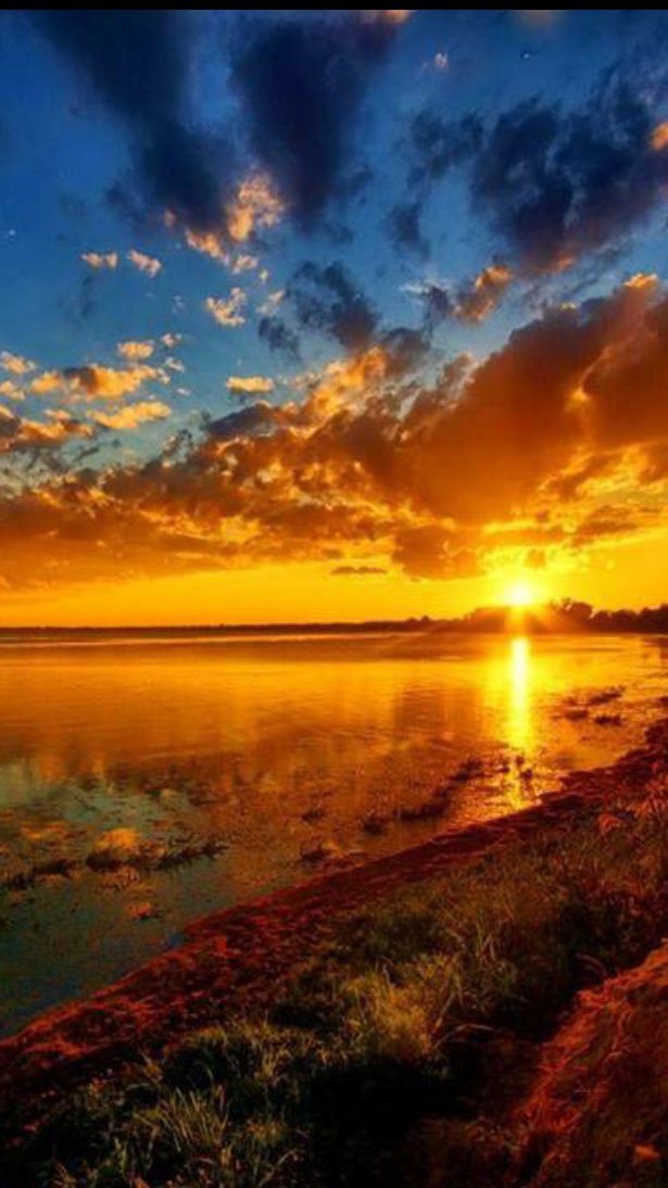 Goyo ..🎶🎸🎹 tweet media