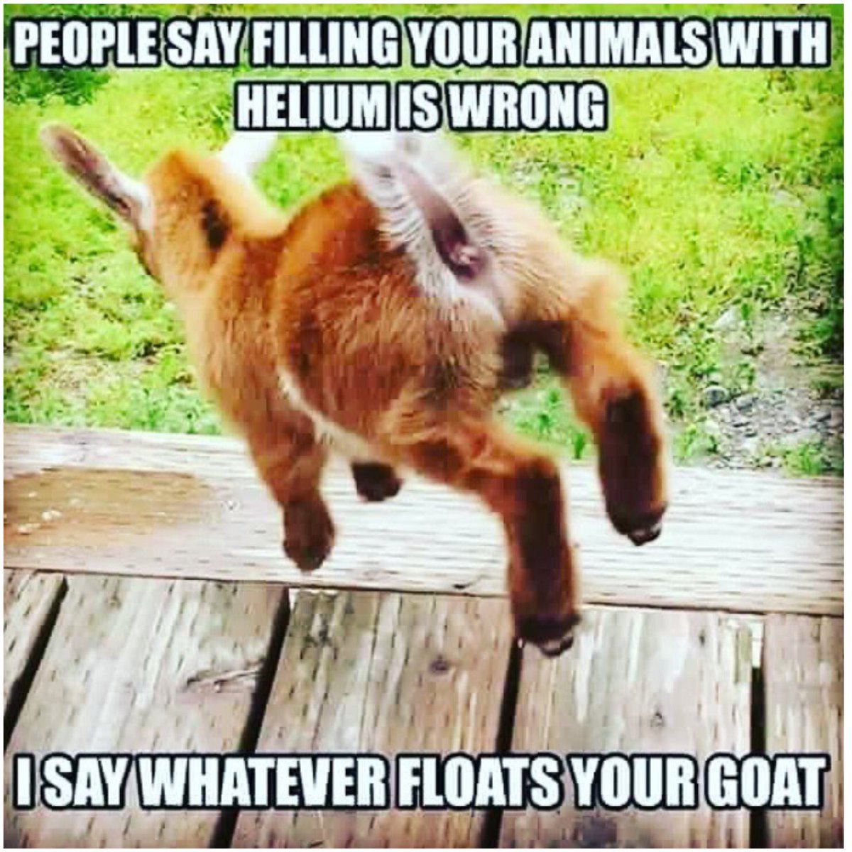 😂