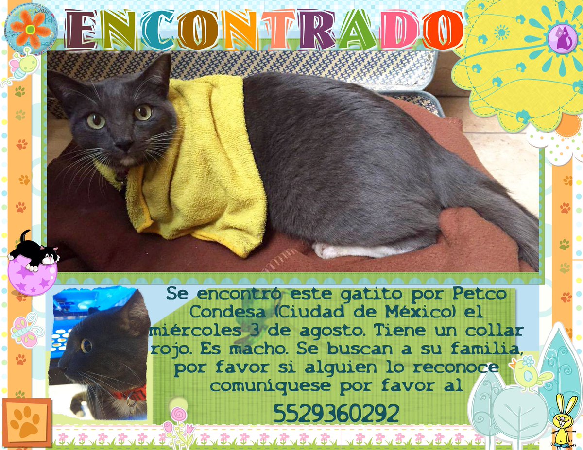crazyandalive's tweet photo. @lagateria RT por favor. Extraña mucho a su familia 😢 https://t.co/Obadwc2SWT