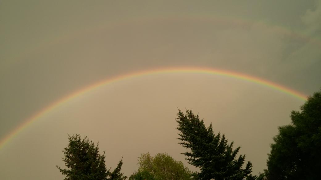 BobbyMcIntyre2's tweet image. #weather #double #rainbow #edmontonweather #sherwoodparkweather #calgaryweather awesome rainbow after #Thunderstorm