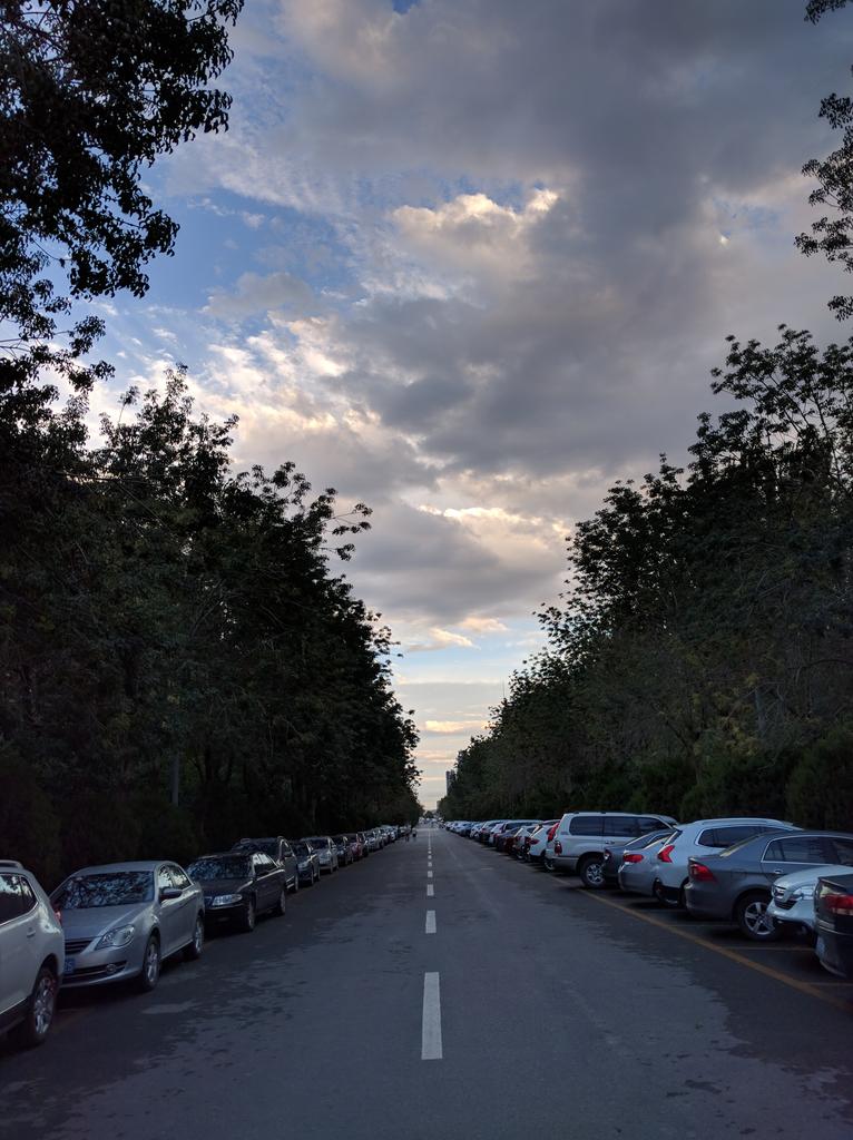 JasonKiddpop's tweet image. After rain