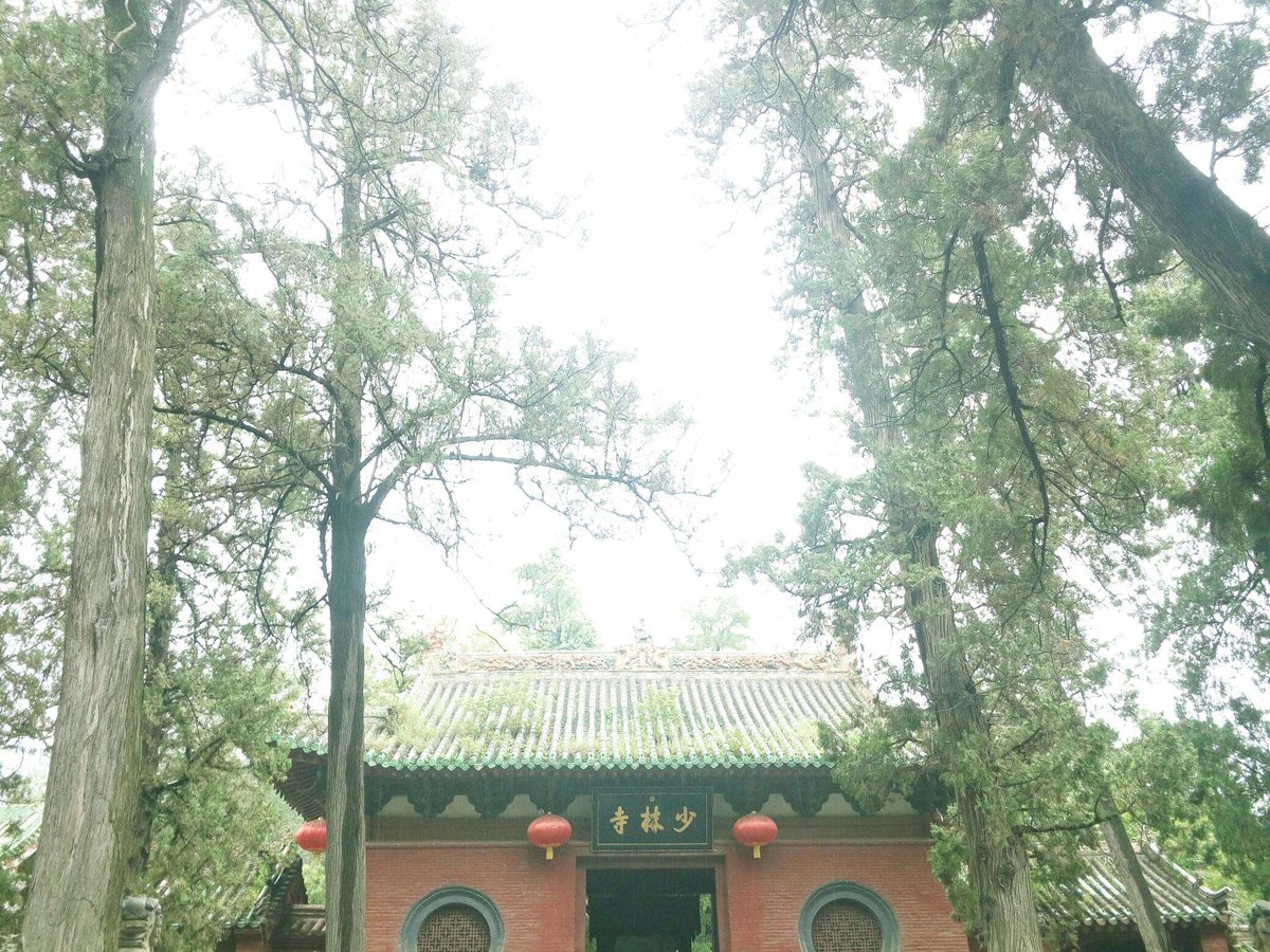 YLinsulation321's tweet photo. Shao Lin Temple for learning chinese Kongfu . https://t.co/AwNhoJZK0a