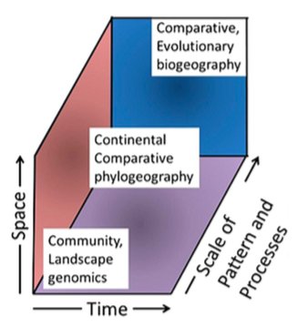 view paradoxes in the theory