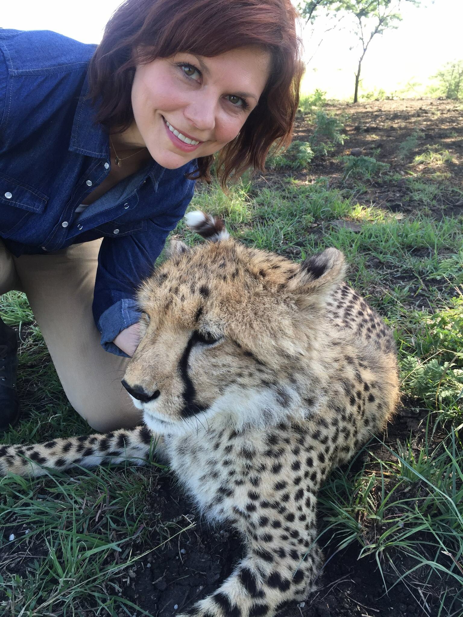 Dr. Carin Anne Bondar on Twitter: Dr. Carin Anne Bondar on Twitter: