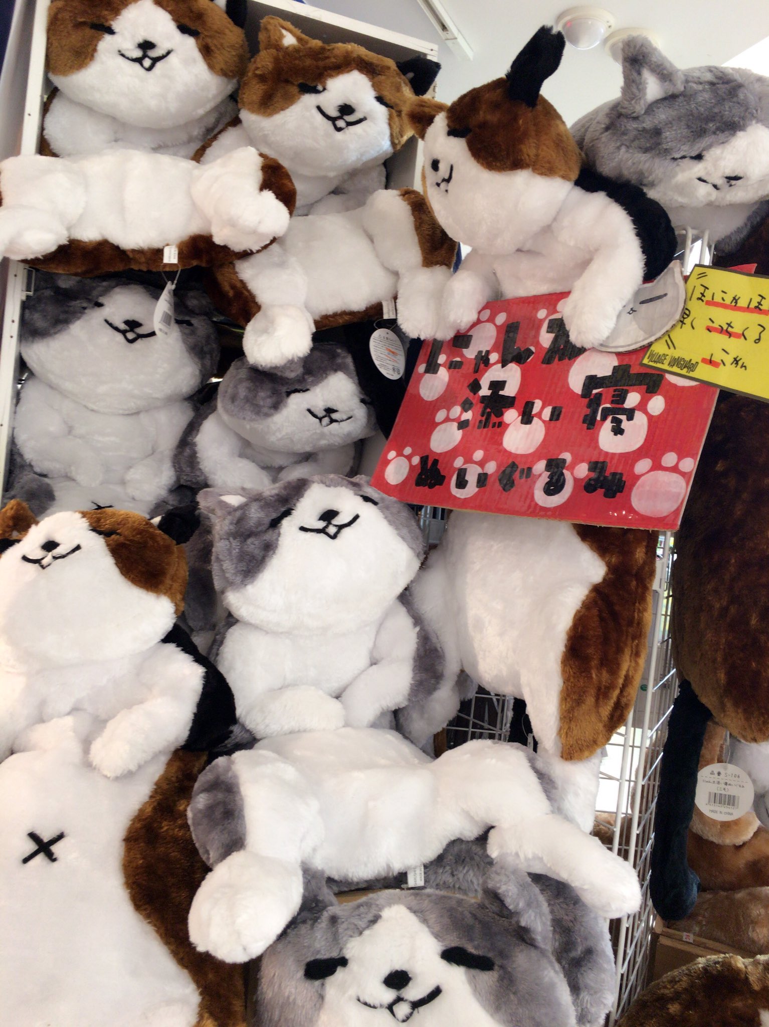 ヴィレッジヴァンガード静岡パルコ V Twitter 眠たいにゃん にゃん太が添い寝してあげるにゃん 添い寝ぬいぐるみにゃん太入荷致しました サイズも触り心地も最高 T Co Z6f1do28fg Twitter