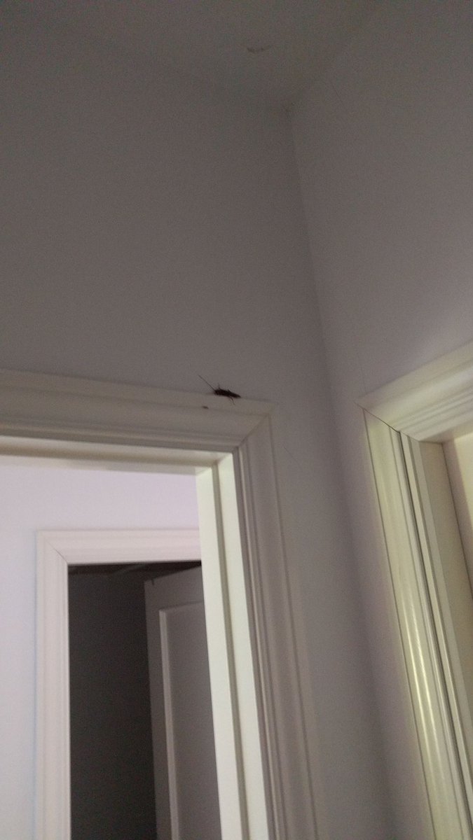 CR7 no juega esta noche porque está por aquí con nosotros <a href="/LauritaDuna/">Laurita</a>